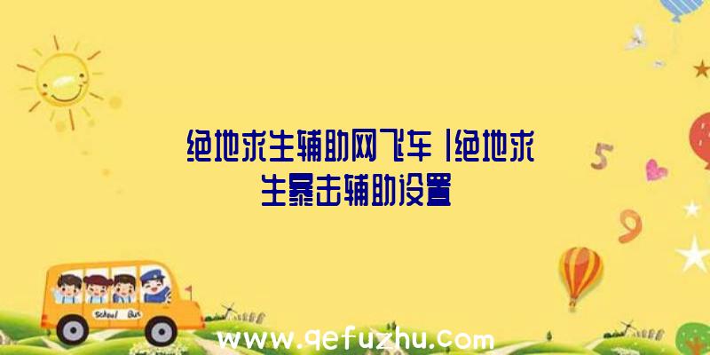 「绝地求生辅助网飞车」|绝地求生暴击辅助设置